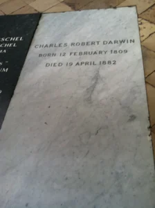 Η επιτύμβια πλάκα του Charles Darwin στο Westminster Abbey
