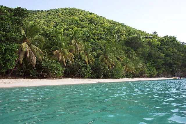 Η Gibney Beach, γνωστή και ως Oppenheimer Beach, στο St. John