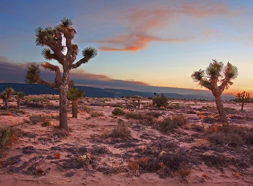 Άποψη του Λάνκαστερ στην Antelope Valley της Καλιφόρνιας