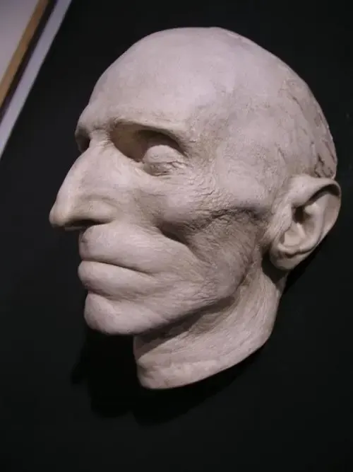 Η γύψινη νεκρική μάσκα του Nikola Tesla σε προθήκη του μουσείου