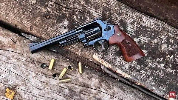 Περίστροφο .44 Magnum, του τύπου που χρησιμοποιήθηκε στη σκηνή