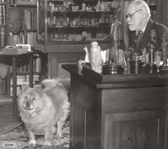 Ο Sigmund Freud με ένα από τα chow chow του