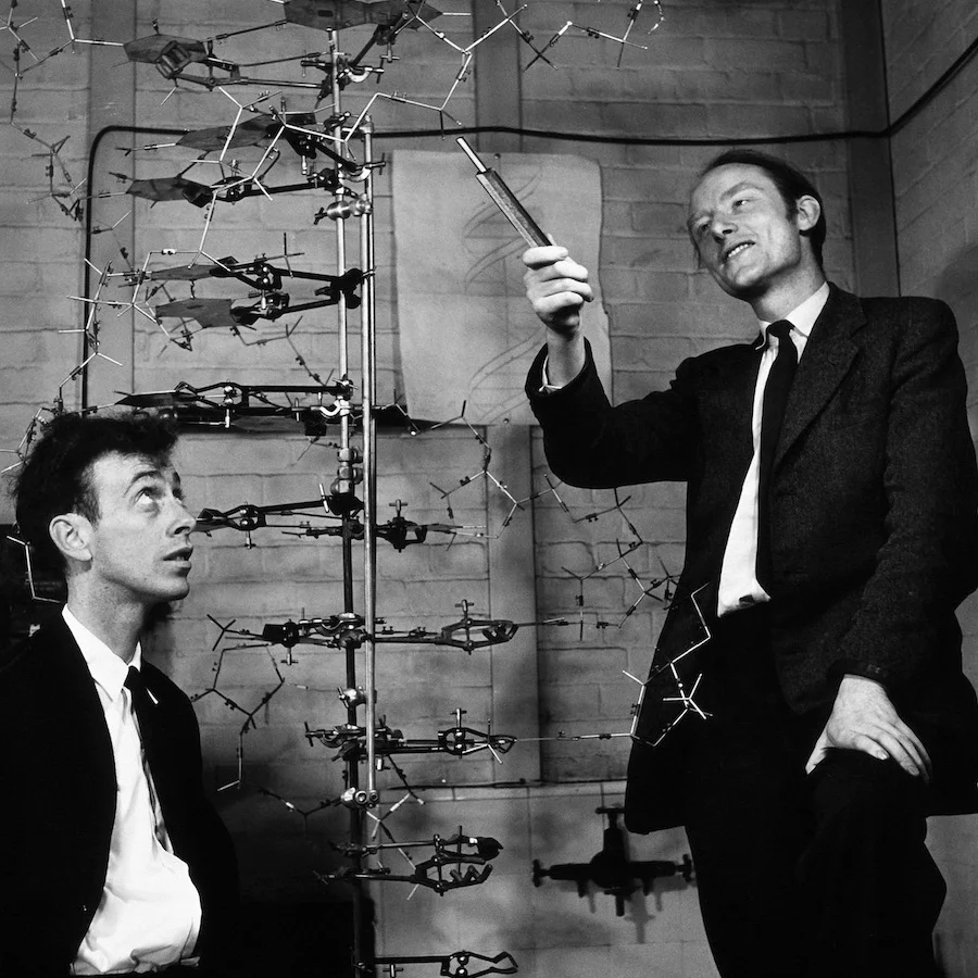 Οι James Watson και Francis Crick δίπλα στο μεταλλικό μοντέλο της διπλής έλικας του DNA
